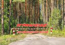 С 17 июля в Краснопольском районе вводится ограничение на посещение лесов