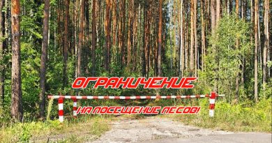 Введено ограничение на посещение лесов в Краснопольском районе