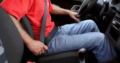 Сел в машину – пристегни ремни! — 26 июля ГАИ проводит единый день безопасности дорожного движения